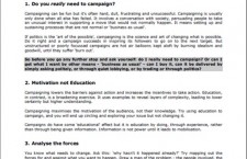 Basic Guidelines for Campaign Strategy (Chris Rose)