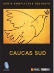 (CAT) Caucas sud estudi de cas (Institut de drets humans de Catalunya)