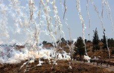 Abordar la por: Enfortiment de l’alternativa no violenta en el Territori Palestí. Establiment d’un Sistema d’Alerta Primerenca de Conflictes