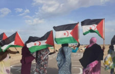  STATEMENT:  No to war, yes to the referendum 